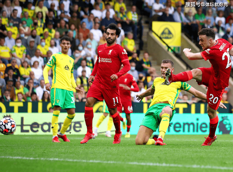 埃及跳水选手表现抢眼,获得金牌 埃及跳水选手表现抢眼,获得金牌